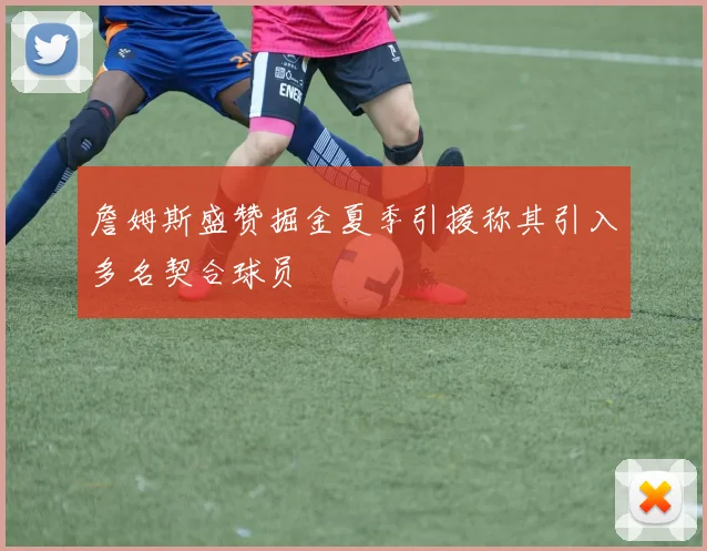 詹姆斯盛赞掘金夏季引援称其引入多名契合球员