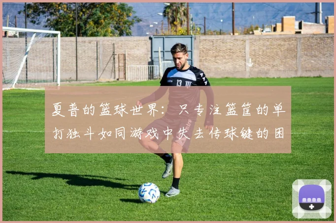夏普的篮球世界：只专注篮筐的单打独斗如同游戏中失去传球键的困境