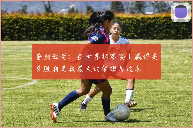 普利西奇：在世界杯赛场上赢得更多胜利是我最大的梦想与追求